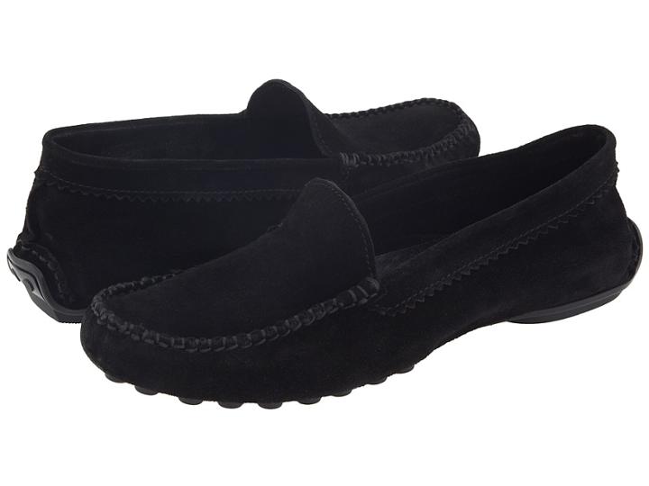 French Sole - Stella