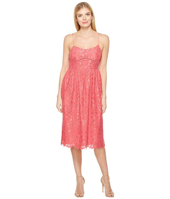 Cece - Aurora - Sleeveless Floral Lace