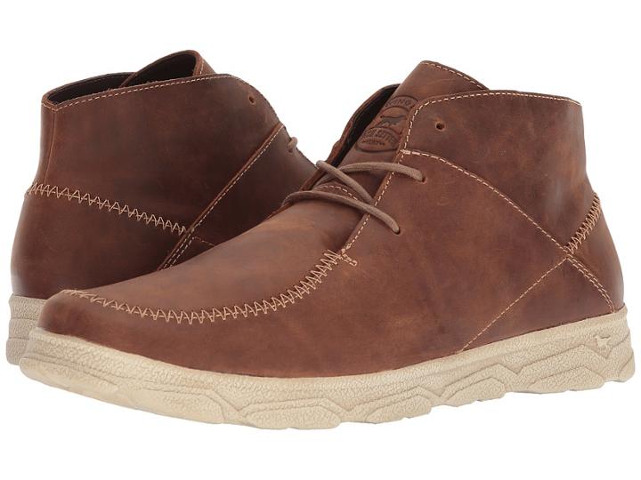 Irish Setter - Traveler Series 03805