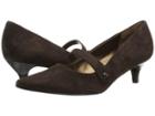 Trotters Petra
