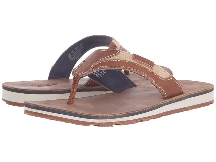 Dr. Scholl's - Brooks - Original Collection