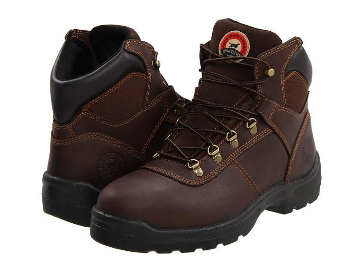 Irish Setter 83607 6