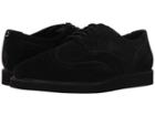 Fred Perry - Newburgh Brouge Suede
