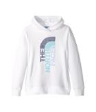 The North Face Kids - Trivert Pullover Hoodie