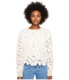 See By Chloe - Knit Lace Front Sweater