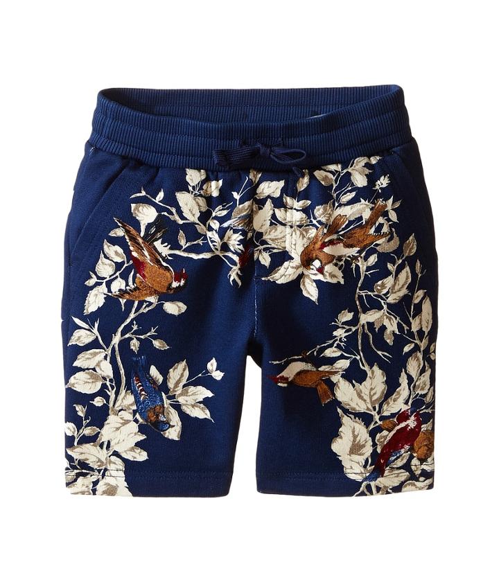 Dolce &amp; Gabbana Kids - Printed Shorts