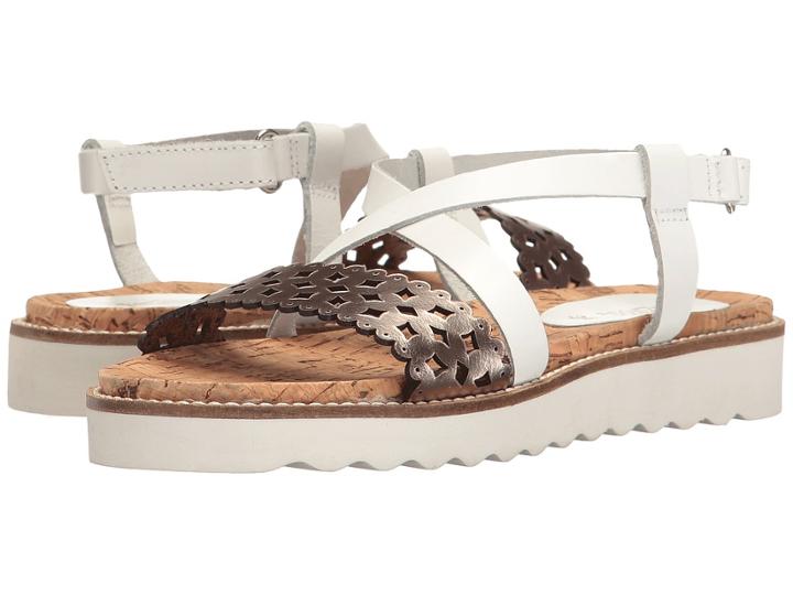 Pazitos - Scallop Diamonds