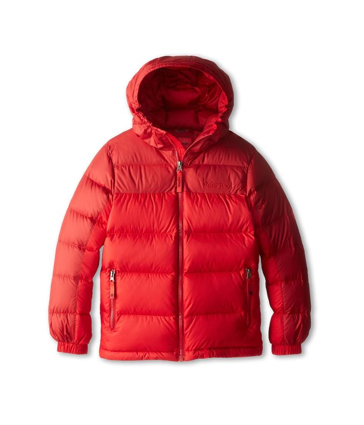 Marmot Kids - Guides Down Hoody