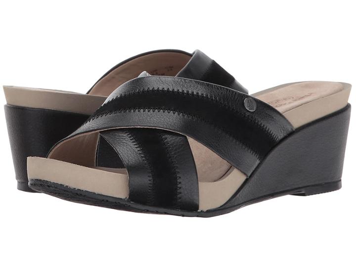 Hush Puppies - Envoi Cassale