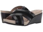 Hush Puppies - Envoi Cassale