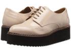 Shellys London - Tommy