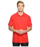 Ariat - Ac Polo