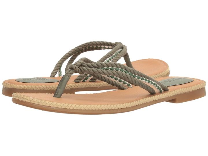 Sperry Top-sider - Anchor Coy Box