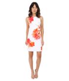 Calvin Klein - Sleeveless Floral Shift Dress Cd6har8d
