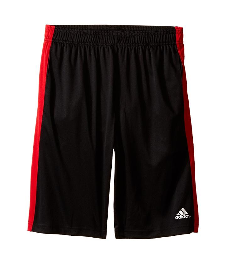 Adidas Kids - Solid L Training Shorts