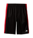 Adidas Kids - Solid L Training Shorts