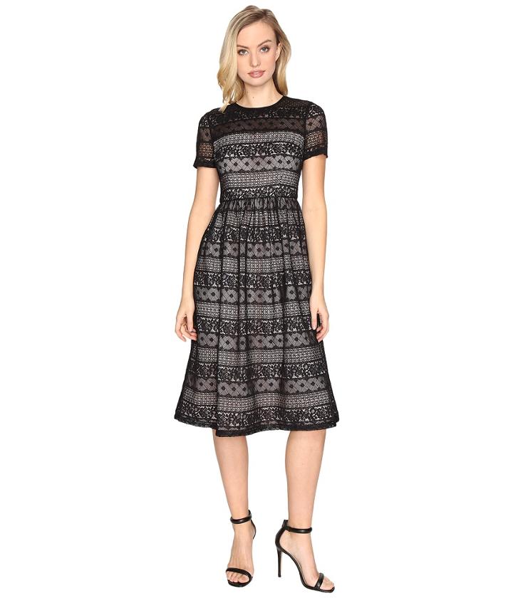 Maggy London - Victorian Stripe Lace Fit And Flare