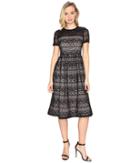 Maggy London - Victorian Stripe Lace Fit And Flare