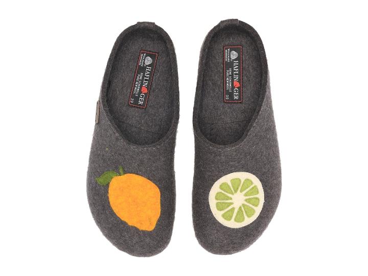Haflinger - Lemon