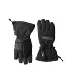 Spyder - Overweb Gore-tex(r) Ski Glove