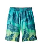 Rip Curl Kids - Mason Rockies Volley Boardshorts