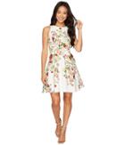 Tahari By Asl Petite - Petite Floral Faille Fit-and-flare Dress