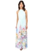 Ted Baker - Ellore Hanging Gardens Border Maxi