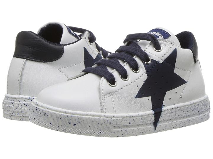 Naturino - Falcotto Venus Ss18
