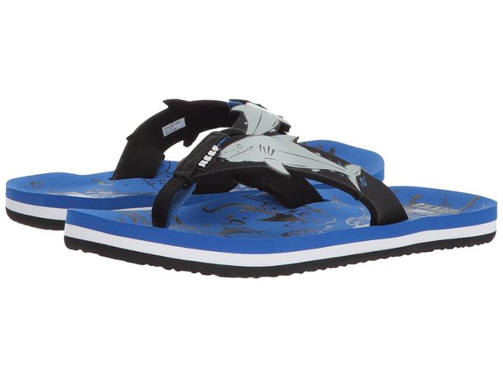 Reef Kids - Ahi Shark