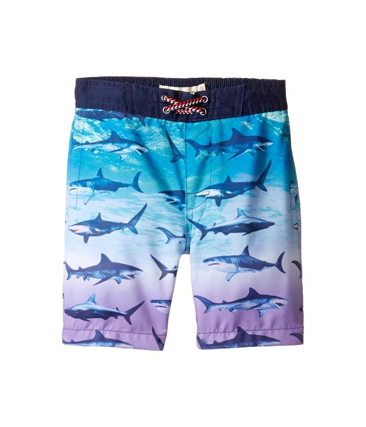 Appaman Kids - Blacktip Shark Swim Trunks