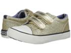 Tommy Hilfiger Kids - Cormac Core Strap
