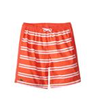 Lacoste Kids - Striped Swim Shorts