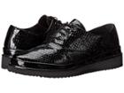 Spring Step - Brega