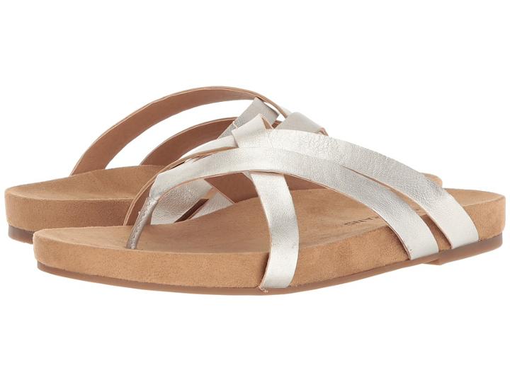Lucky Brand - Fillima
