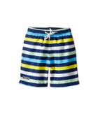 Toobydoo - Multi Stripe Swim Shorts