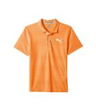 Puma Golf Kids - Pounce Aston Polo Jr