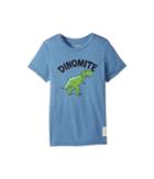The Original Retro Brand Kids - Dinomyte Short Sleeve Heather Tee
