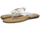 Aerosoles - Branchlet