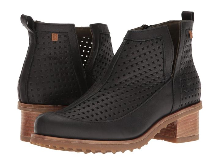 El Naturalista - Kentia N5102