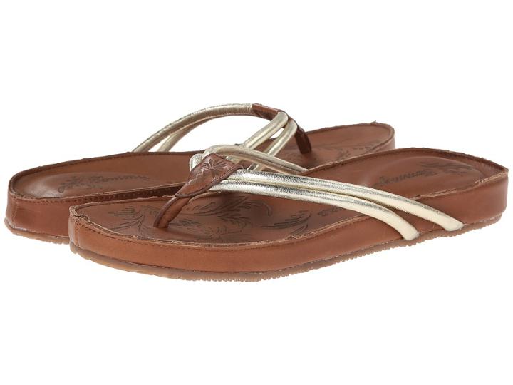 Tommy Bahama - Takimi