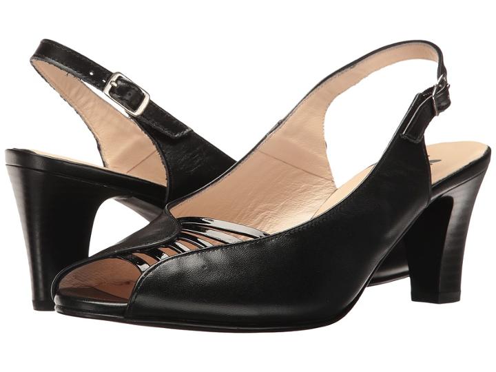 Spring Step - Fiorella