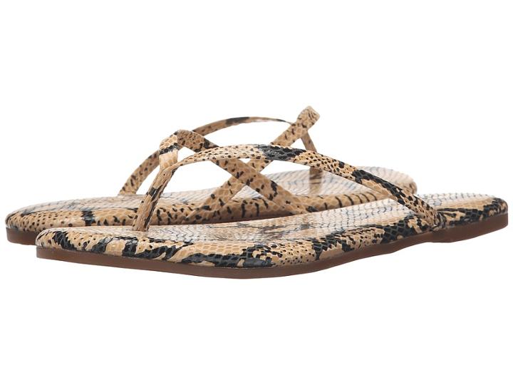 Yosi Samra - Roee Snake