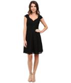 Adrianna Papell - Seamed Juliet Lace Fit And Flare Dress