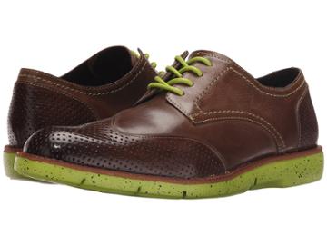 Donald J Pliner - Edd