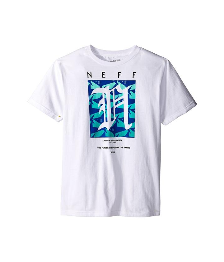 Neff Kids - Shark Filled N Tee