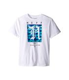 Neff Kids - Shark Filled N Tee