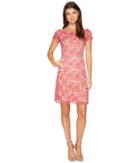 Adrianna Papell - Lace Off Shoulder Fit And Flare Dress