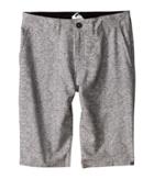 Quiksilver Kids - Subtle Amphibian Shorts