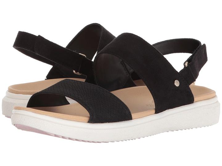 Dr. Scholl's - Wanderlust
