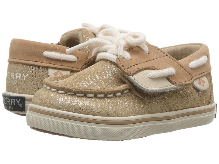 Sperry Kids - Bluefish Crib Jr.
